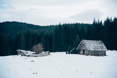 木制的小屋在白雪覆盖的领域

